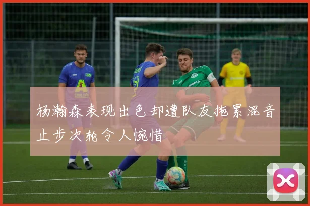 杨瀚森表现出色却遭队友拖累混音止步次轮令人惋惜